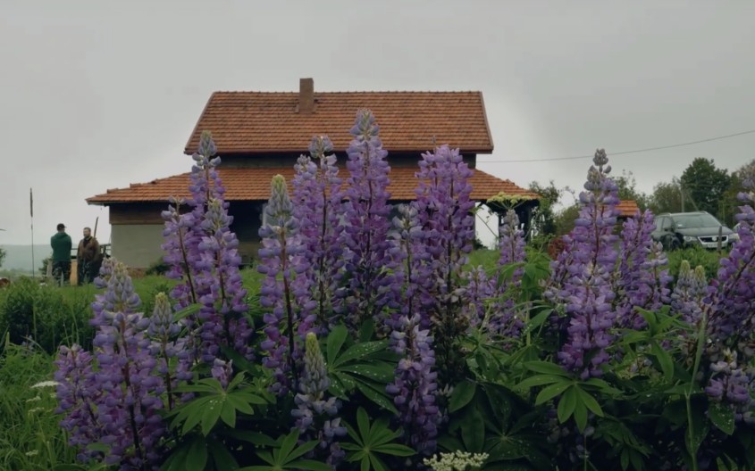 Next Stop Ukraine & Grofa. Політ на кулі біля Свірзького замку та дегустація малинового варення